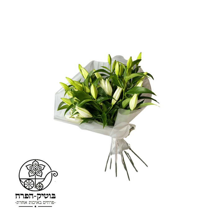 לרוכשים בפעם הראשונה (32)